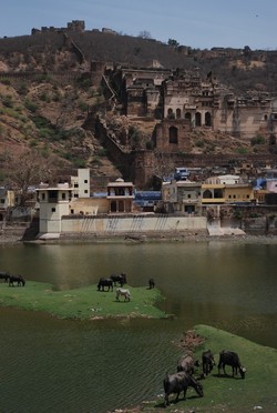 bundi